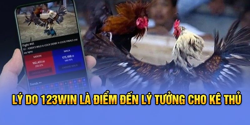 Lý do 123Win là điểm đến lý tưởng cho kê thủ