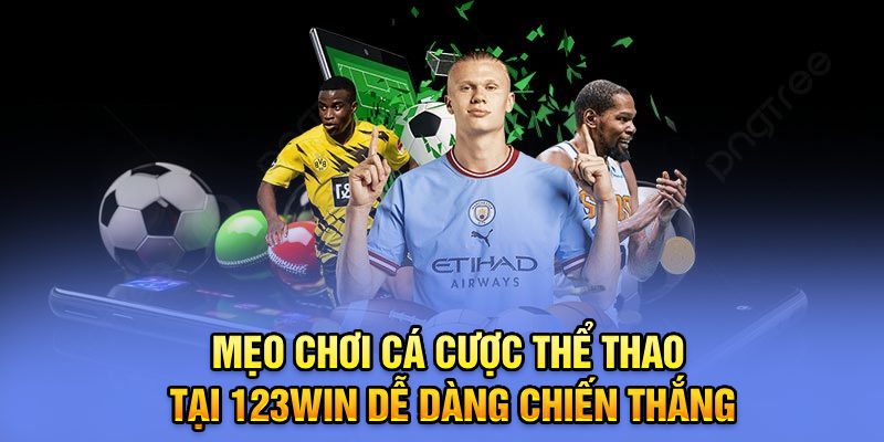 Tổng Quan Sảnh Cá Cược Thể Thao Tại 123win